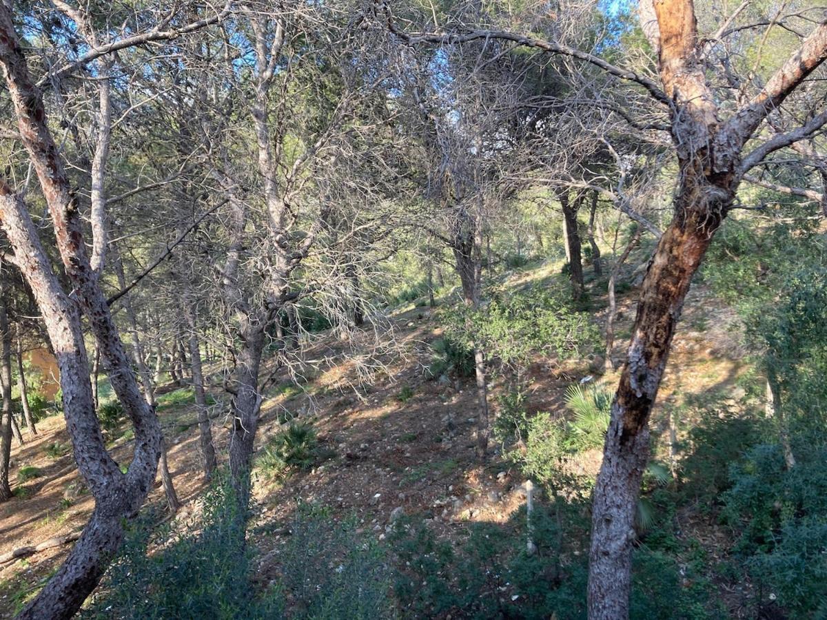 Apartamento Con Vistas Al Mar Castelldefels Exterior photo